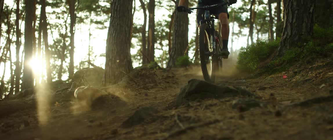 A pair of cyclists ride offroad down a forested slope during the day