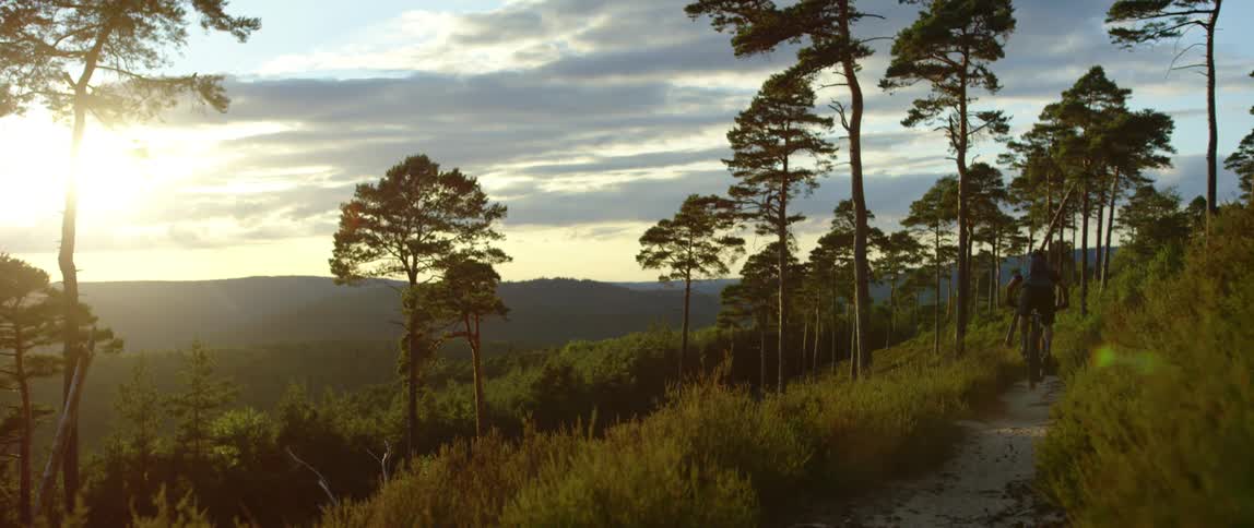 A man rides his bicycle down a narrow dirt trail through the hills at sunset