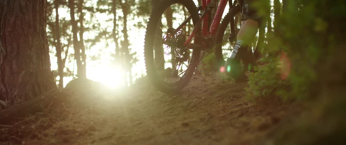 Mountain biker pushes a mountain bicycle uphill in the forest at sunset
