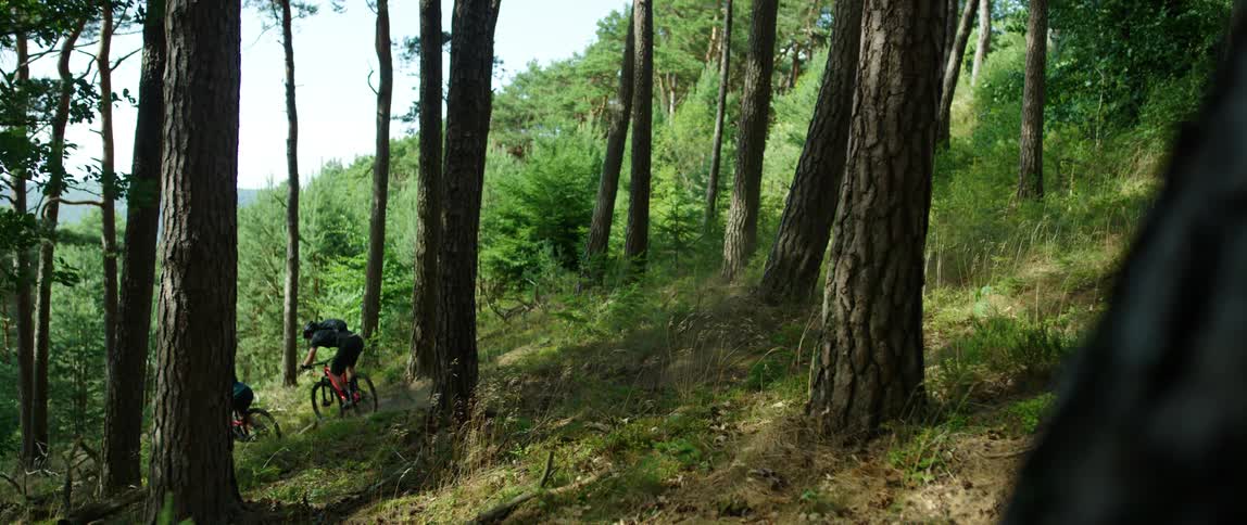 Two bicyclists ride through forest down mountain slope wearing helmets and backpacks