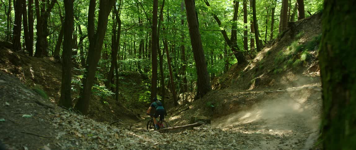 Two people ride mountain bikes in a heavily wooded area