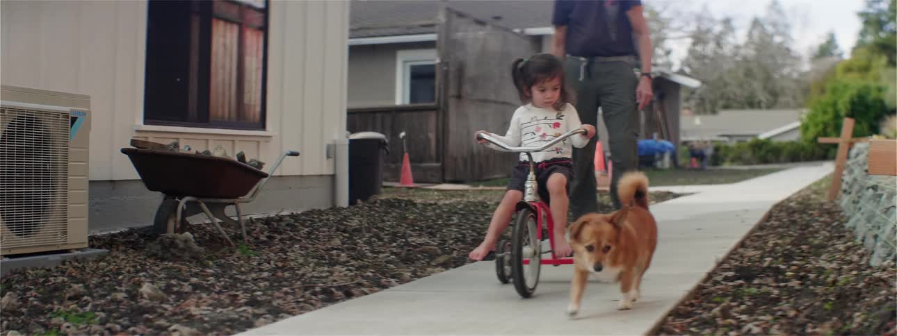 Dog walks past girl riding tricycle as her parent follow her progress