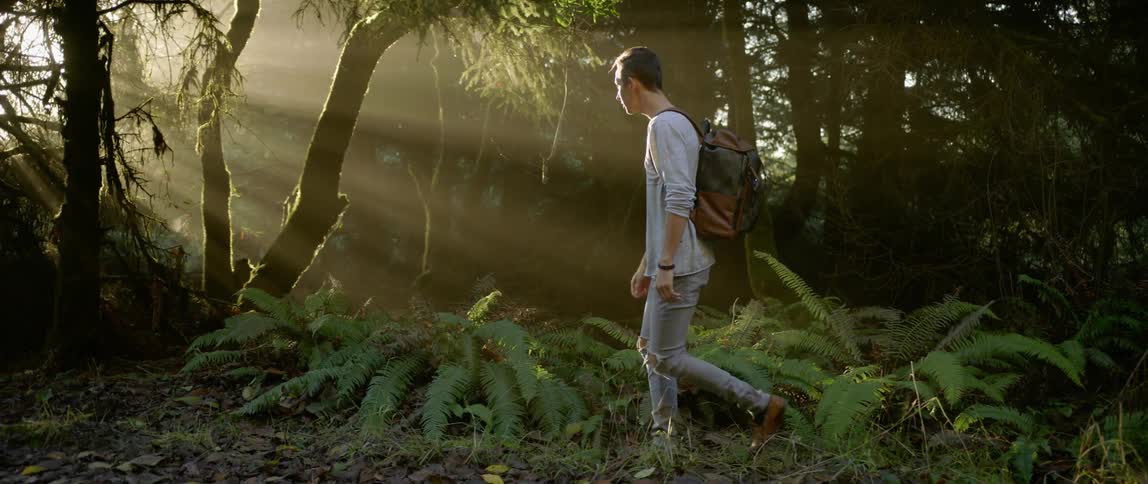 A young man with a backpack hikes amid ferns and sun rays shining through foliage