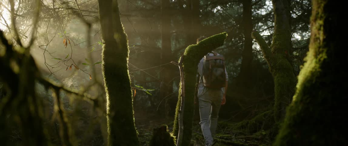 A man is hiking through the woods on a sunny day
