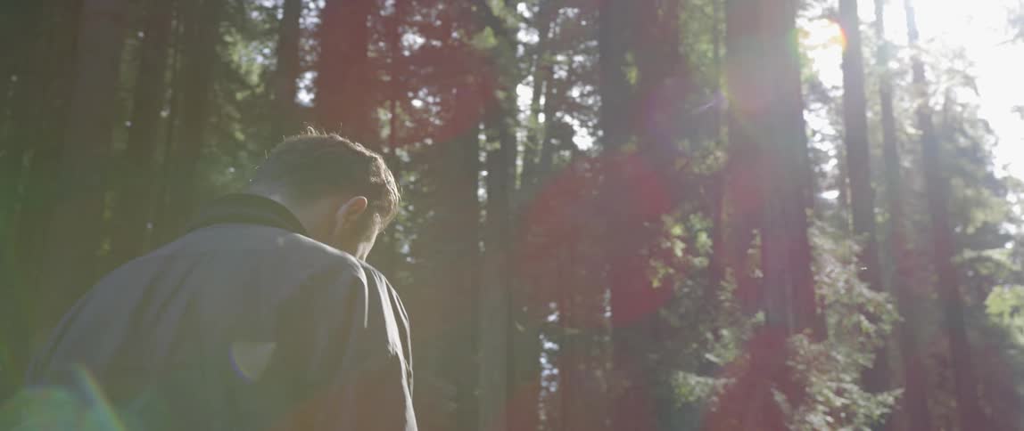 A man is walking on a sunny day towards a forest