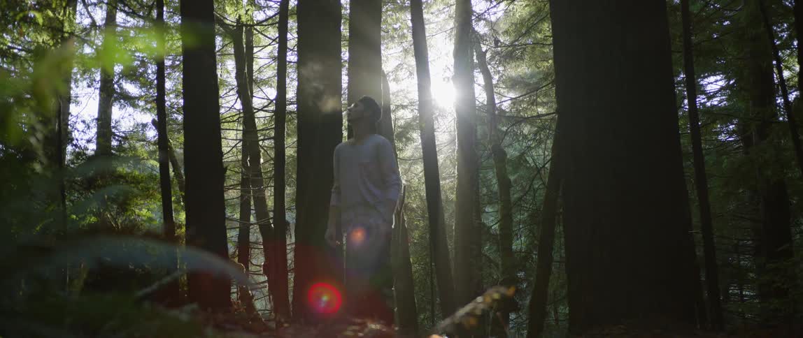 A man looking around as he stand in a forest