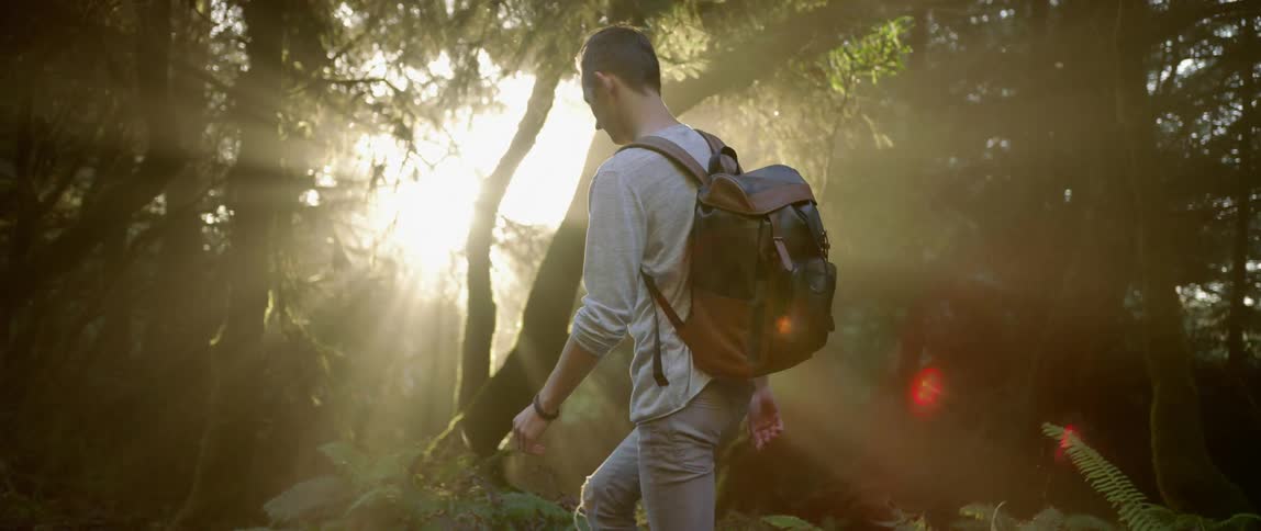 A man is hiking in the forest on a sunny day