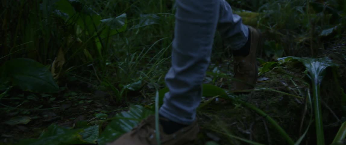 A man walking along a log in the forest