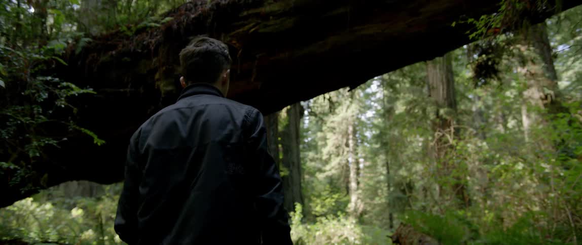 A man reaches up to touch a branch as he walks in the forest