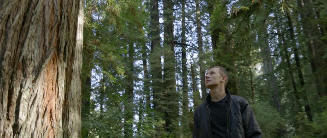 A man walking along a dirt path in the woods