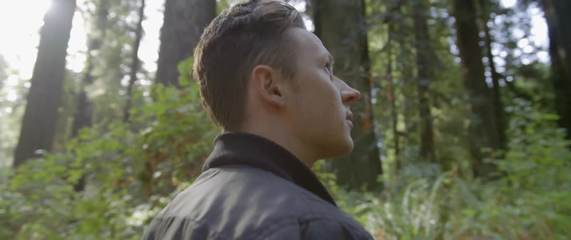 A man is walking in the forest on a sunny day