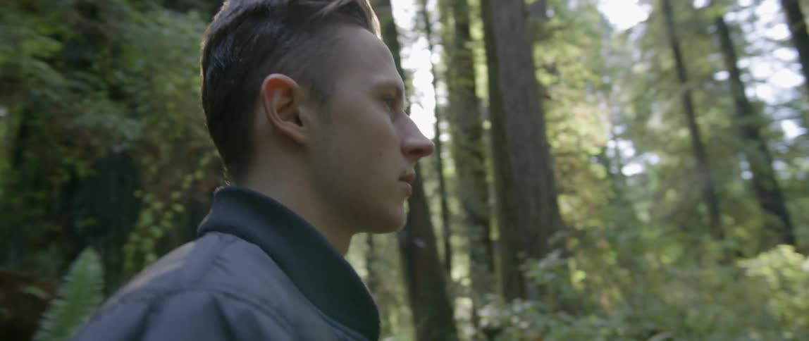 A man walks in the forest on a sunny day