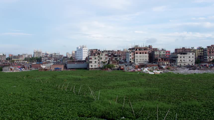 A field on the outskirts of a rundown city on a sunny day