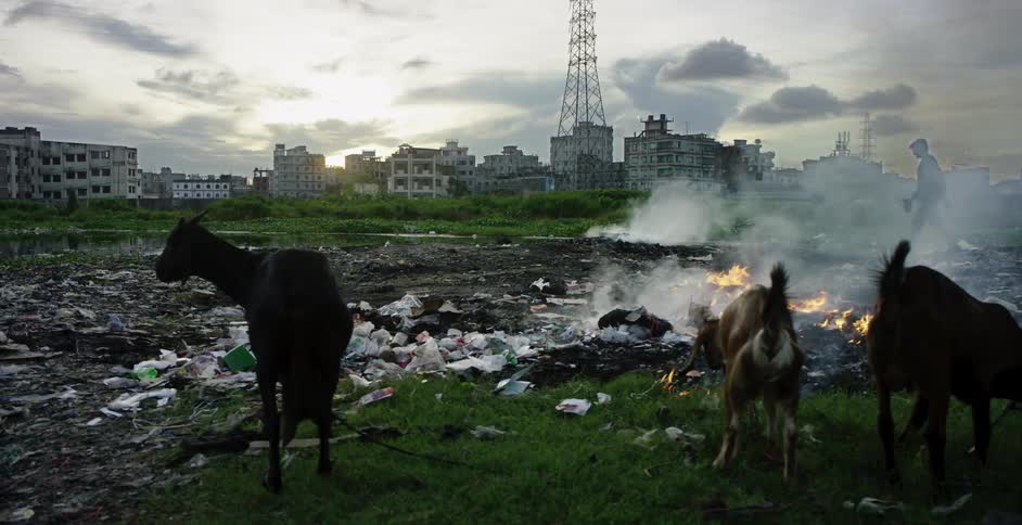 Person walks past field outside town trash is burning on as goats browse nearby