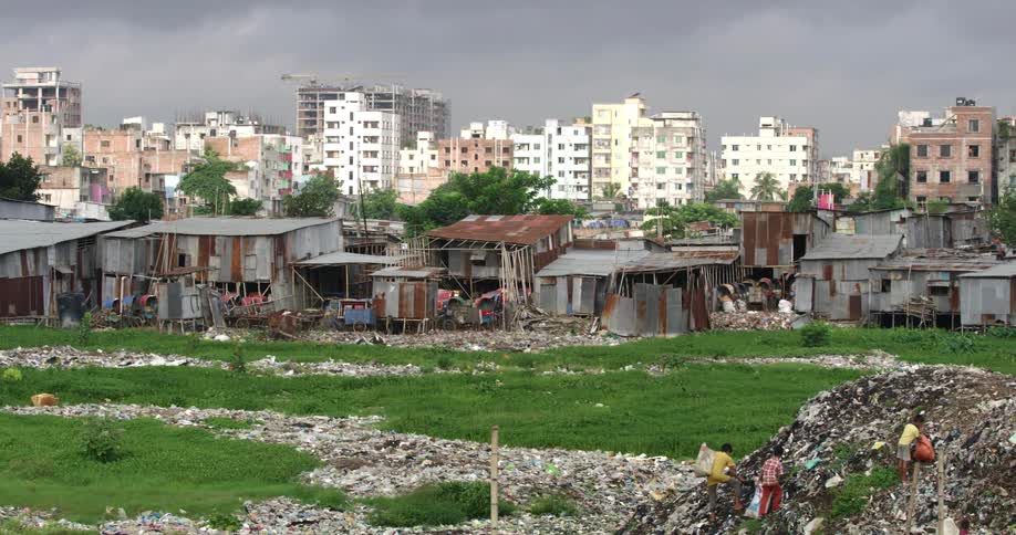 People in a trash heap picking out trash