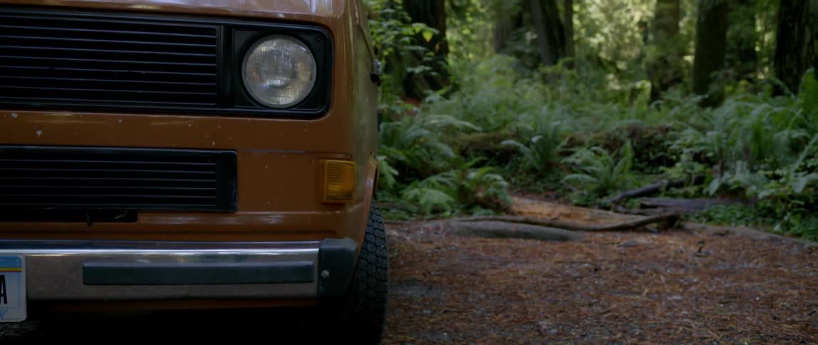 An orange van in a forest