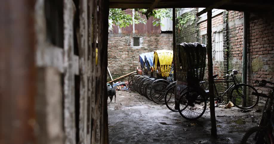 A dog smells tires on bikes parked outside an old brick building