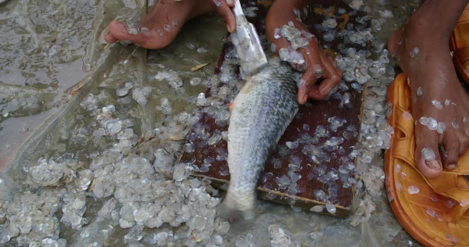 A barefoot person cleans the scales of a fish with a metallic brush on the floor