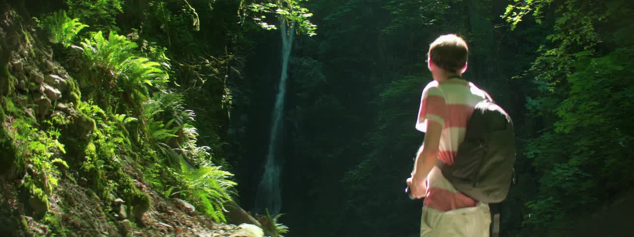 Young man looks towards small waterfall in lush forest area