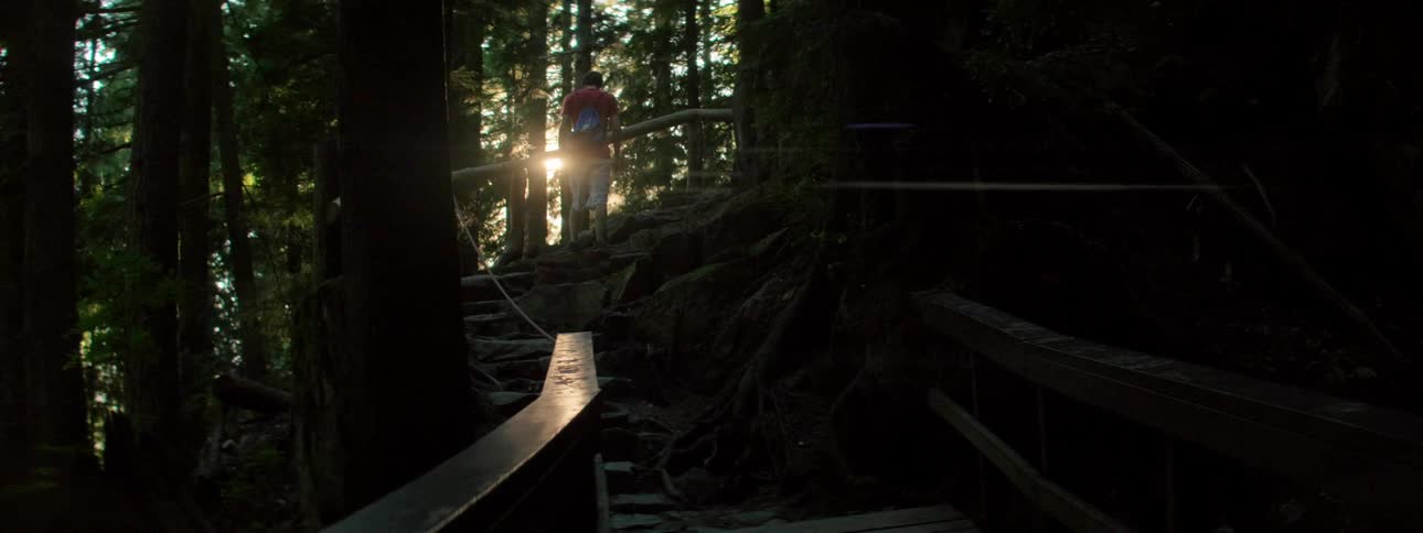A man is hiking in a forest area at dusk