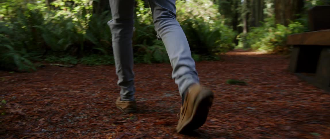 A person walks in the woods
