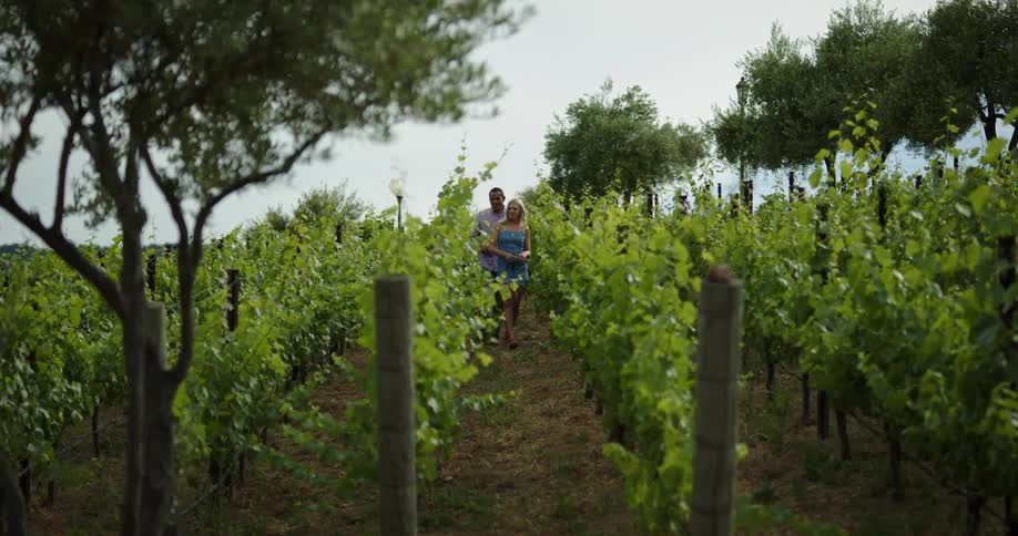 A woman leads a man through a vineyard on a sunny day
