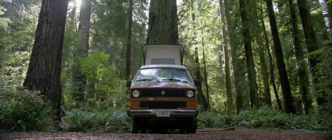 A van is parked near a forest on a sunny day