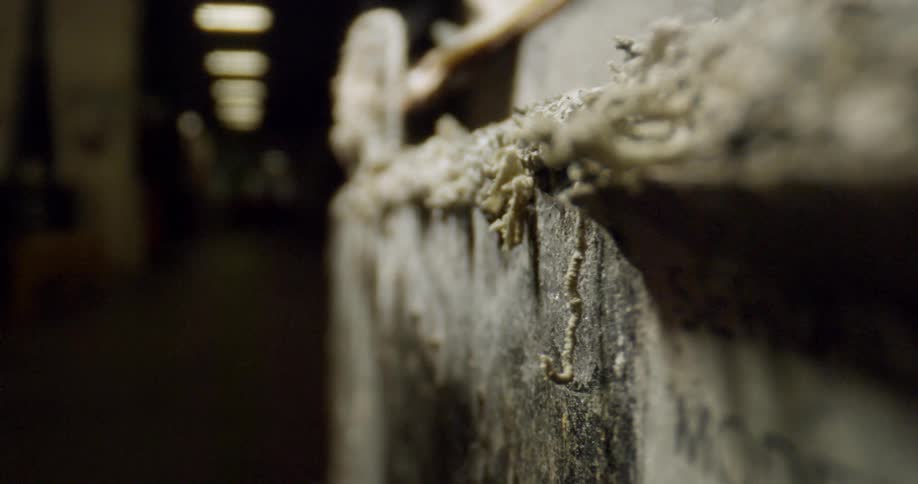 A cement mantle in a dark hallway is crumbling and covered in dust
