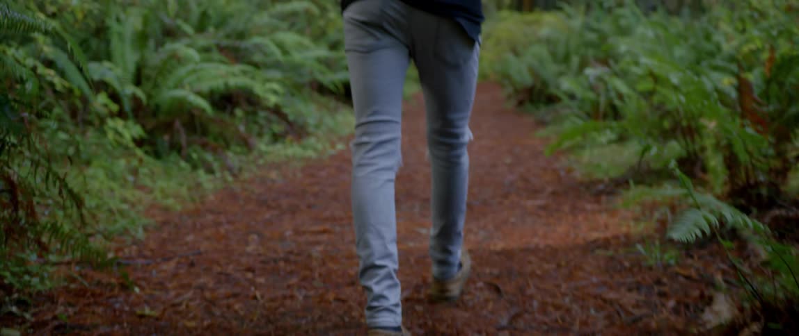 A man walks slowly along a path lined with ferns and pine trees