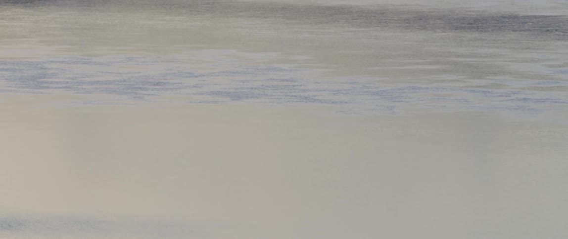 A bird soars low over a body of water and drops in