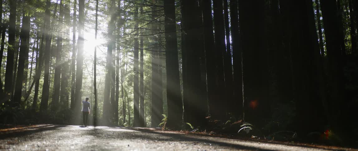 A man walks towards a wooded area from a small road
