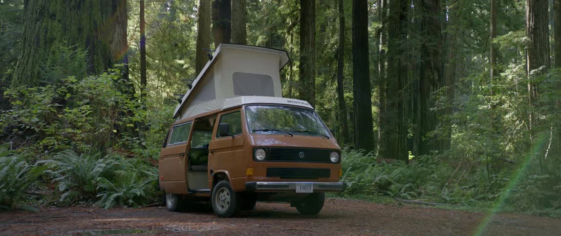 A brown van is parked in the forest