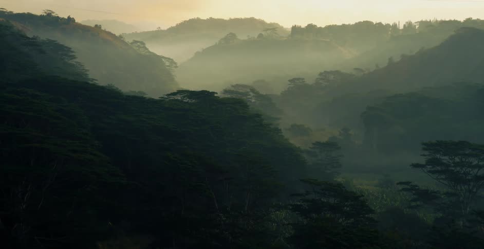 dramatic tropical valley floor