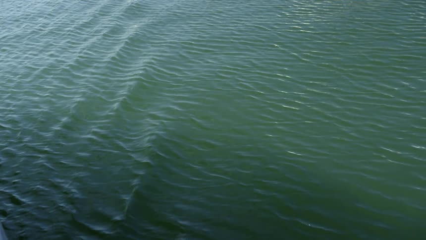 Ripples and small waves on ocean surface