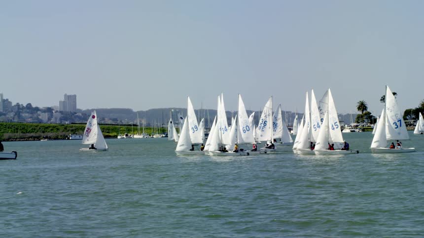 Sailboats in water near the coast with buildings and trees in the background