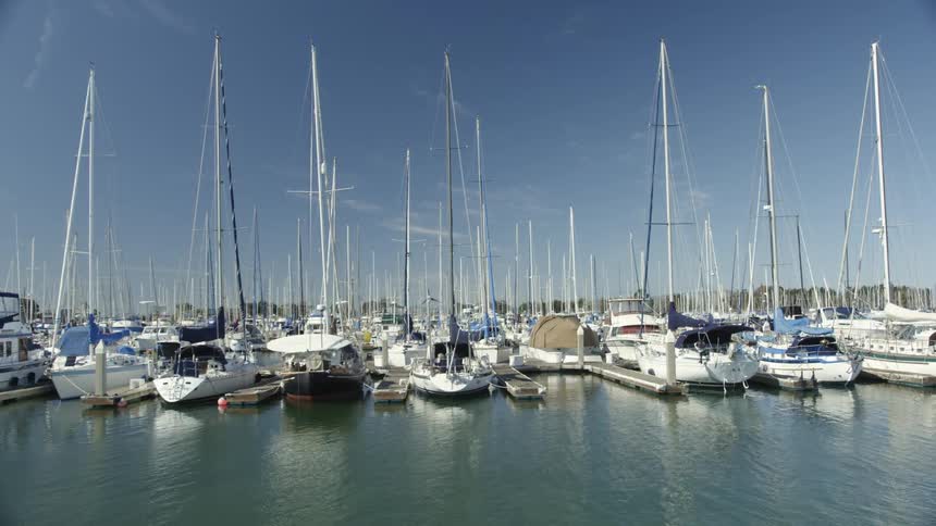 Boats floating in a marina in the daytime