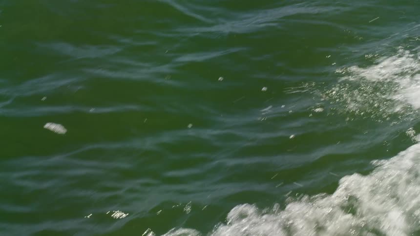 Ocean waves splashing in the daytime
