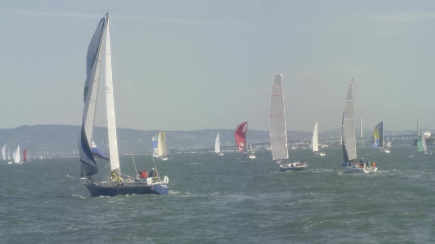 Many sailboats in the ocean with hill shore in sight