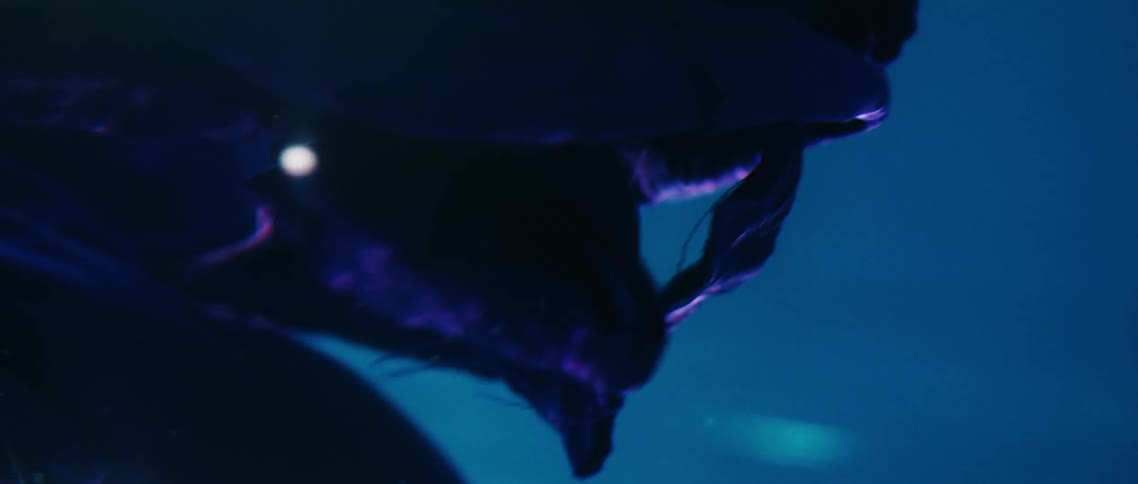 Purple fabric floating and billowing beneath water