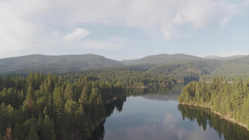 Aerial view of a tranquil river covered with trees with mountains in the background