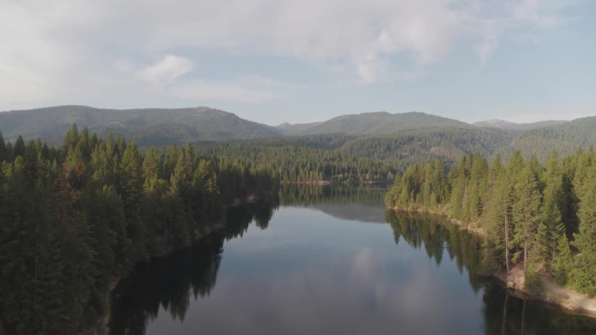 Aerial view of a river flowing through a forest with hills in the distance