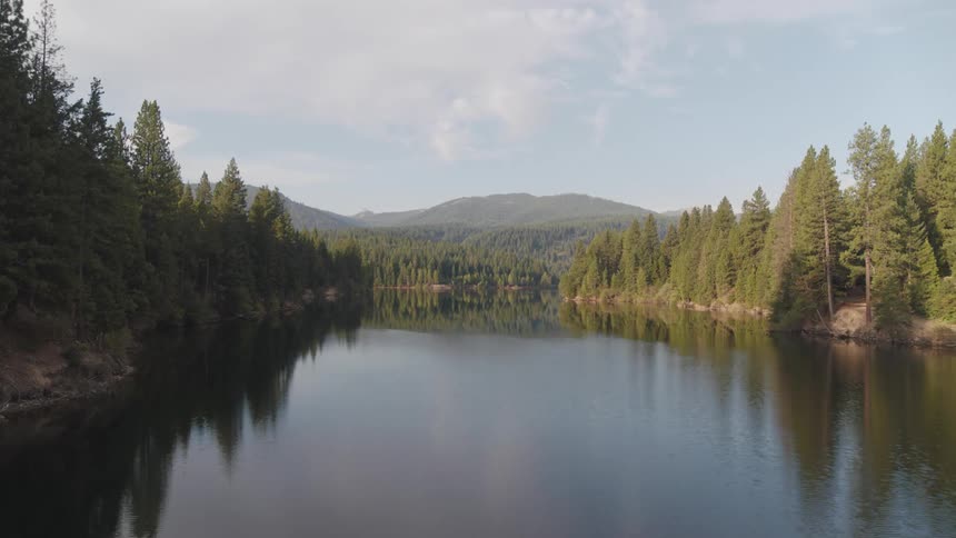 A gentle river running through a forest at the base of a mountain covered in vegetation on a sunny day