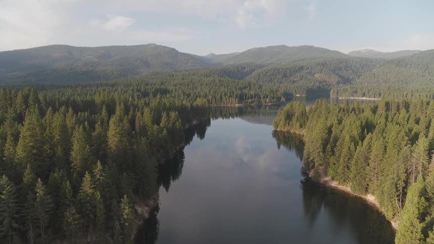 An aerial view of a river running through a forest
