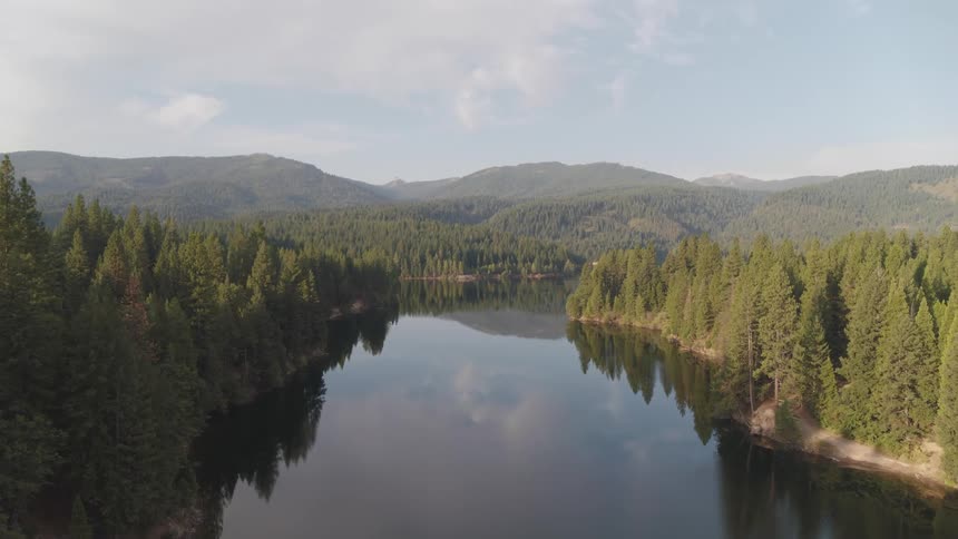 Aerial view of a tranquil river covered with trees and mountains in the background