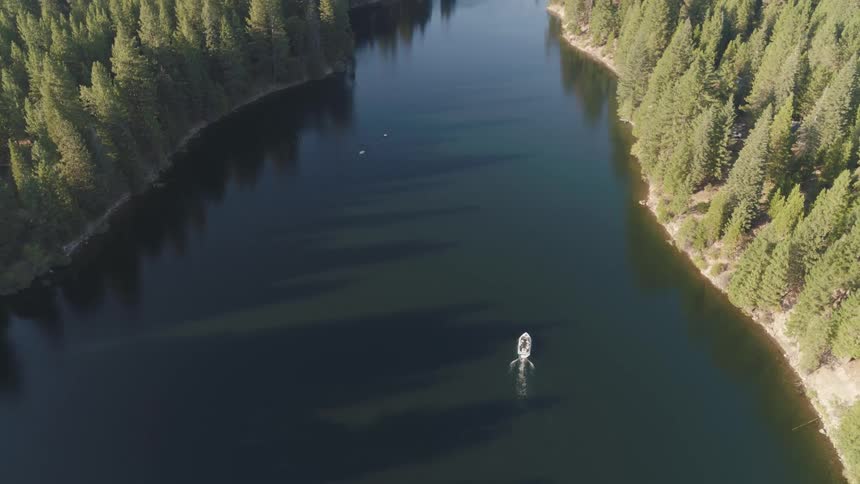 A boat travels a river through a vast evergreen forest during the day