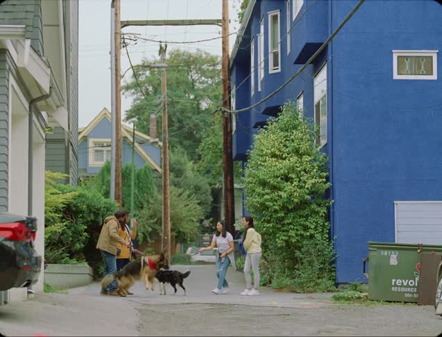 People walking dogs down street stop to let dogs meet each other