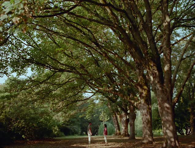 A man and a woman standing surrounded by trees with the sky in the background