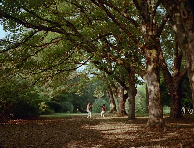 Man and woman move slowly through exercise poses standing on fallen leaves under green leafed trees