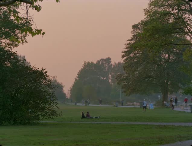 People move about and sit in the grass of a public park