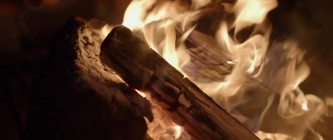 Close up of wood burning in a campfire